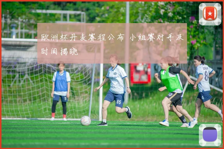 欧洲杯丹麦赛程公布 小组赛对手及时间揭晓