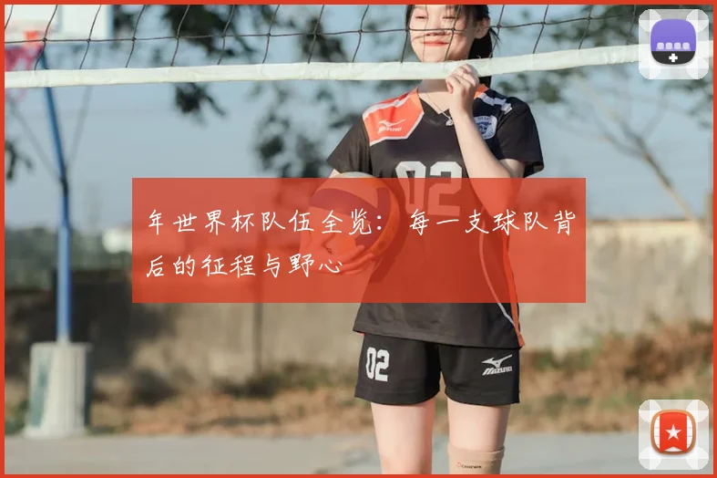 年世界杯队伍全览:每一支球队背后的征程与野心