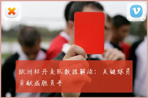 欧洲杯丹麦队数据解读:关键球员贡献成胜负手