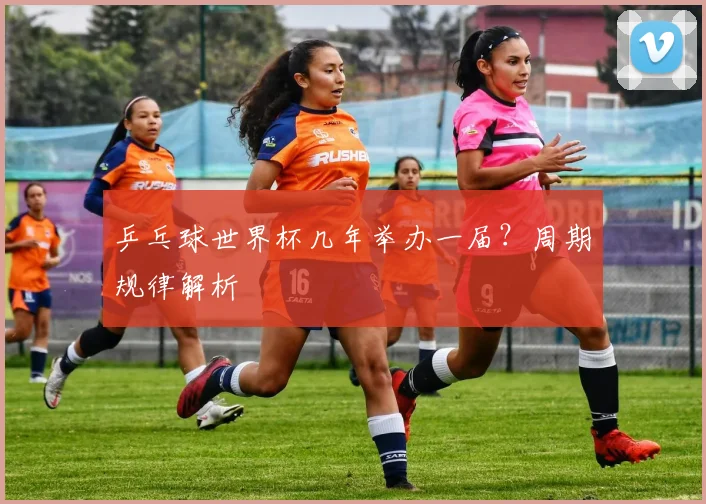 乒乓球世界杯几年举办一届?周期规律解析