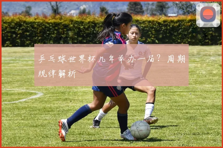 乒乓球世界杯几年举办一届?周期规律解析