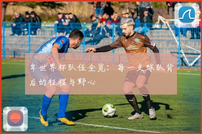 年世界杯队伍全览:每一支球队背后的征程与野心